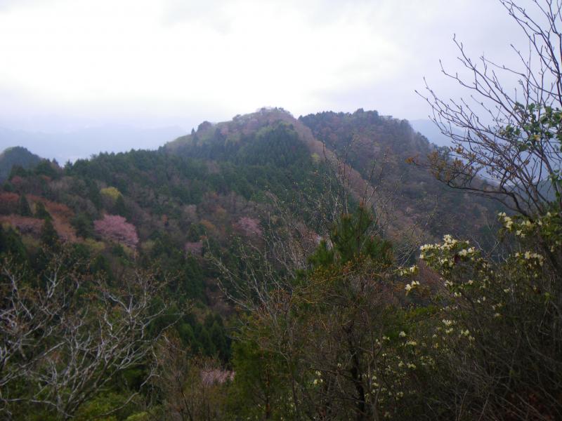 清水山