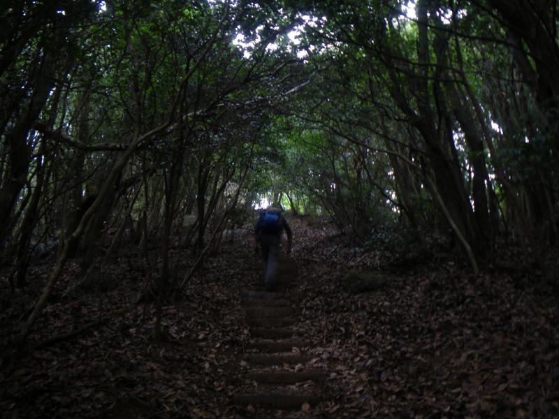 神石山への最後の登りは長い階段できつい