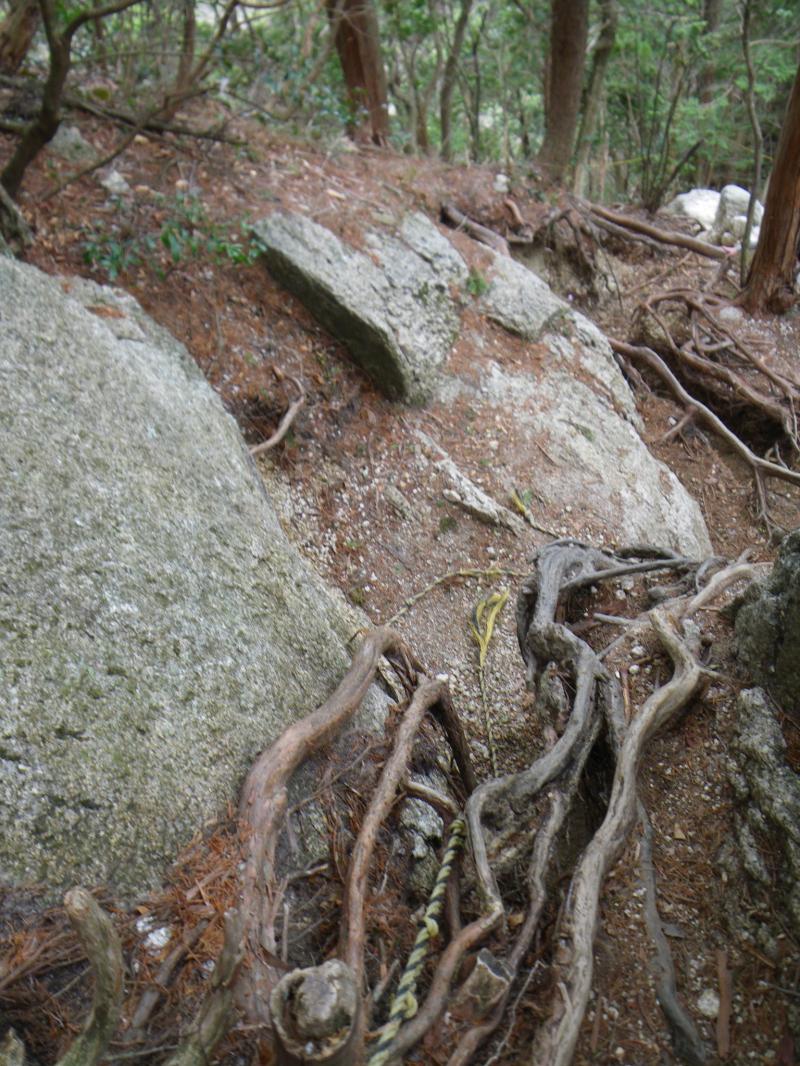 だんだん木の根道が多く、やらしい登山道