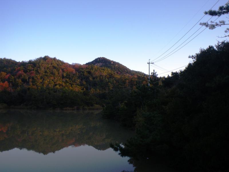 登山口近くの池から飯神山