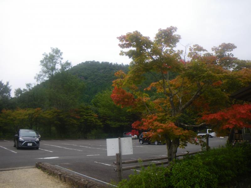 第一駐車場から見る高木山
