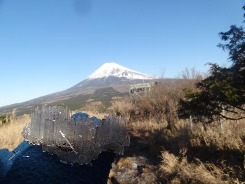 霜柱と富士山