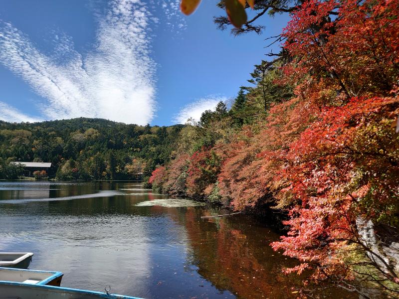 紅葉の白駒池