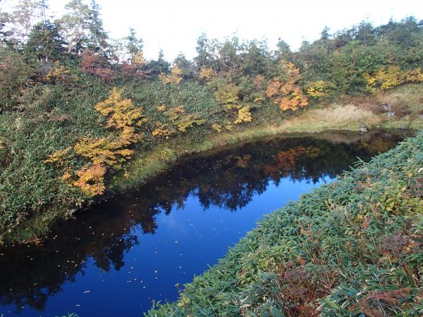 白山釈迦岳山頂付近の池塘と紅葉