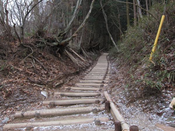 金剛山までは、木の階段道が続きます
