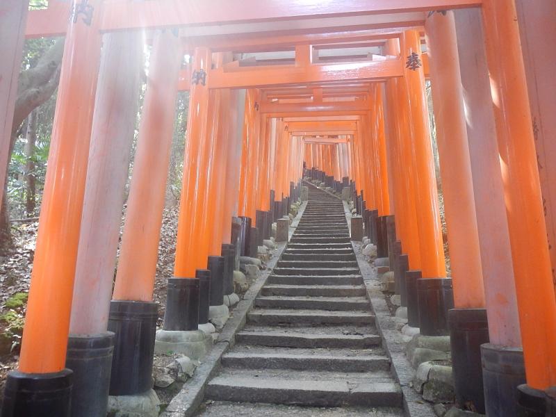 京都トレイル稲荷神社