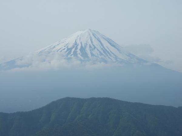 毛無山からの富士山｡