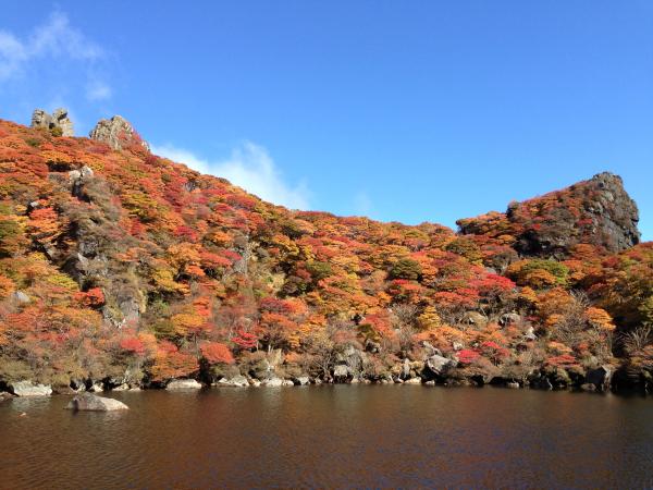 さすが九州でも1.2を誇るスケールの紅葉！　すごいです！！