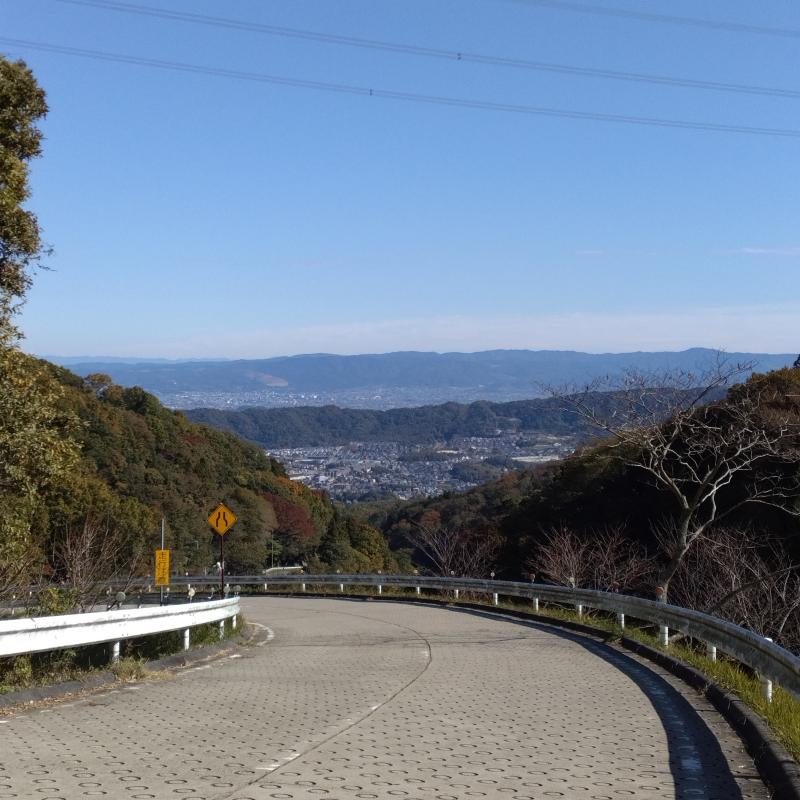 奈良方面に続く道