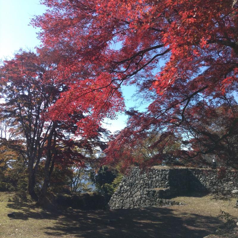 日本最大の山城・紅葉の高取城へ☆2022