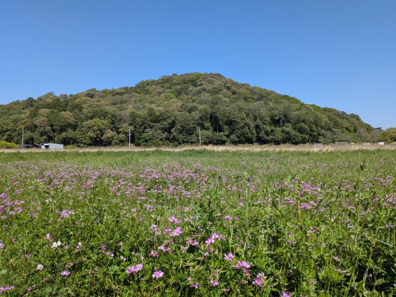 大和三山・畝傍山、耳成山を歩く☆