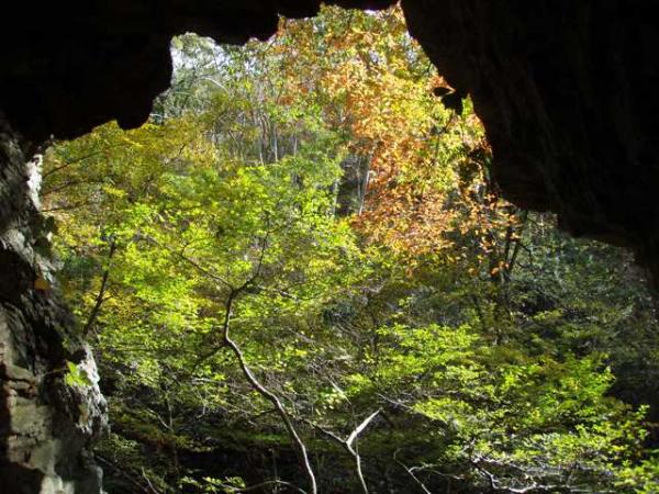 洞窟からの紅葉を眺める
