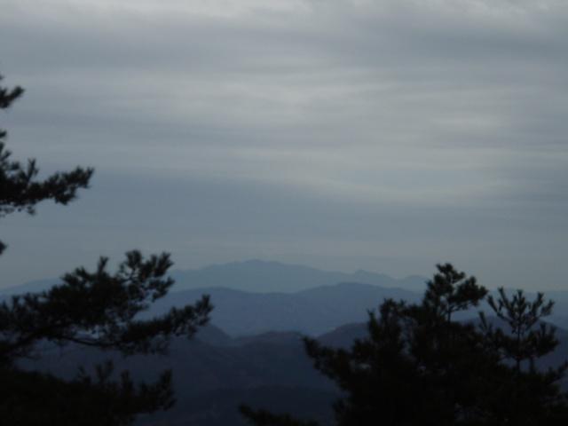 歌垣山・男山からの眺め