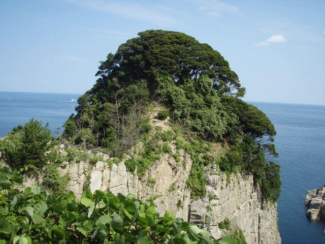 岩の上の巨木