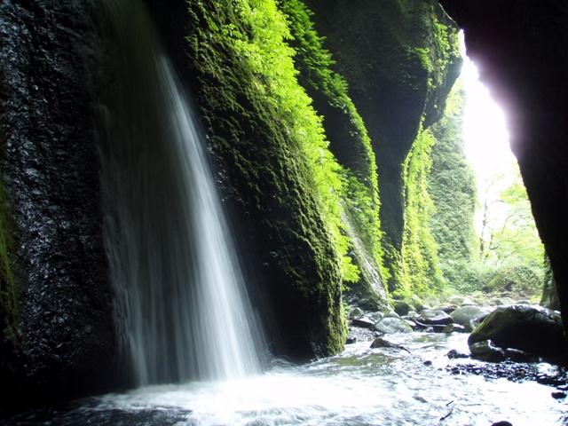 幻想的なシワガラの滝
