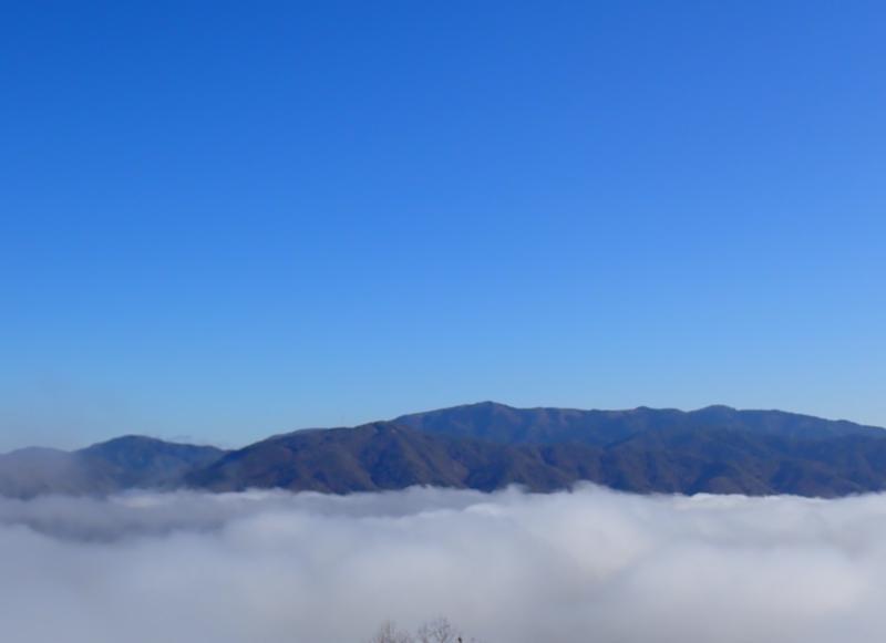 八木城から雲海を眺める