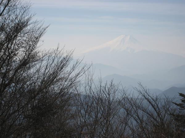 三頭山頂から望む富士。