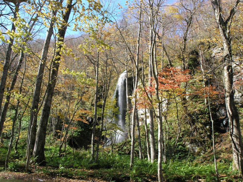奥入瀬にはたくさんの滝があります。