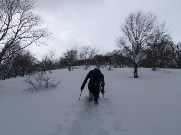 延々と深雪のラッセル、これでもスノーシューはいてます