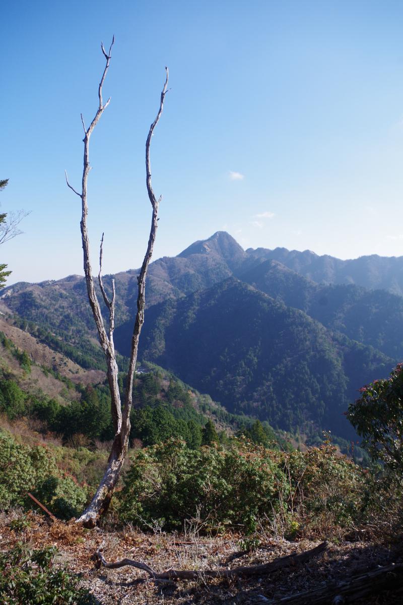 下山時の鎌ヶ岳