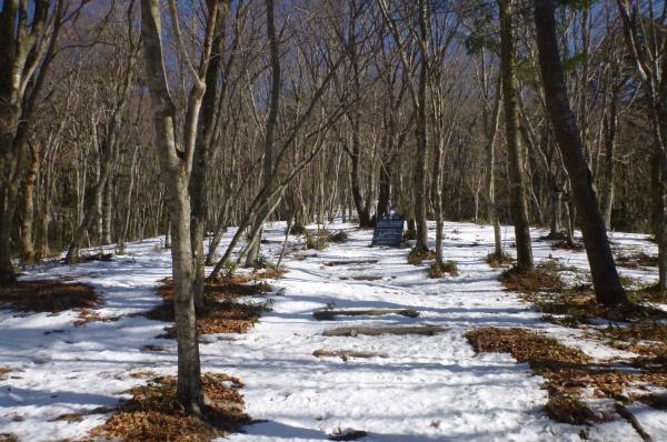 登山道は最初から雪道でした。