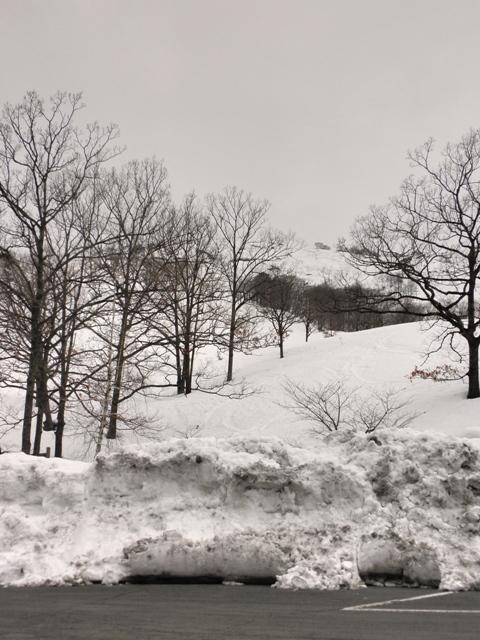 いこいの村しまね から『深入山の肩』の偽ピークを望む。