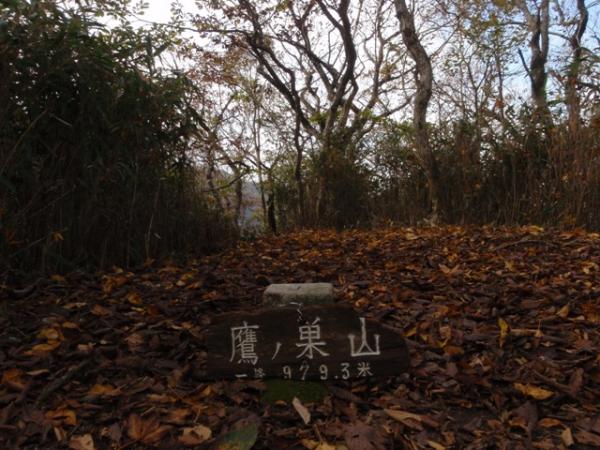鷹ノ巣山の一ノ岳。展望はほとんどありません。落ちた落ち葉がきれいです。。