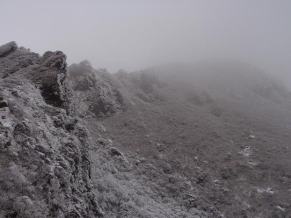 霧氷が見れることで名の知れた由布岳へ。