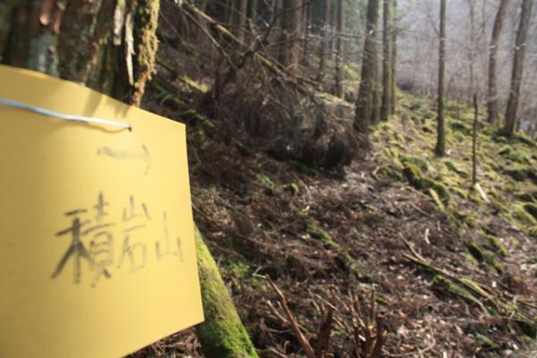 健脚の方にお勧めの山です。