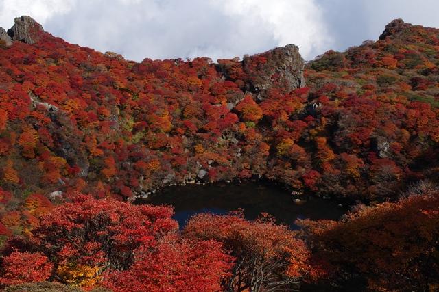 くじゅうの紅葉が良い時期ではないかと思い、三俣山と大船山へ出発です。
