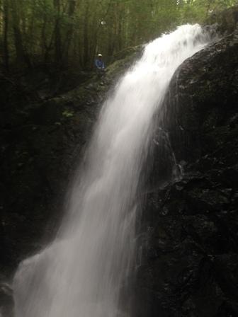 この沢メインの“七の滝”。水量が多い。