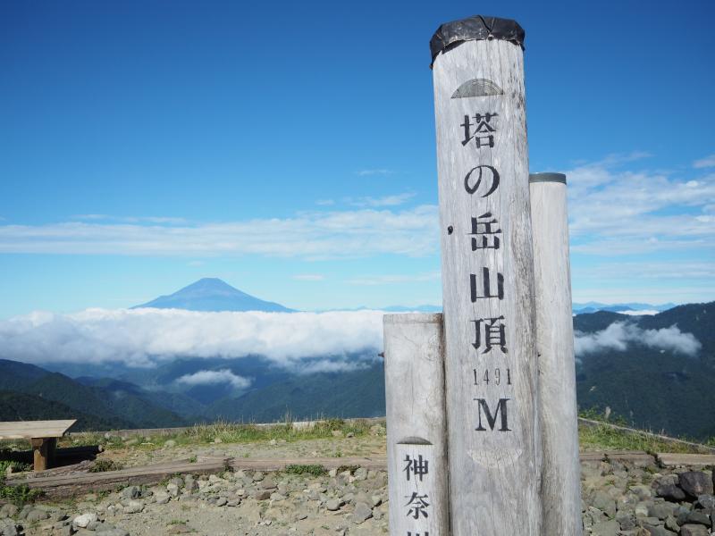 今日は富士山がばっちり