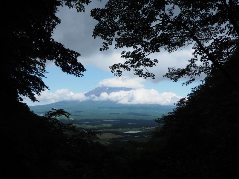 今日は残念ながら富士山は雲の中