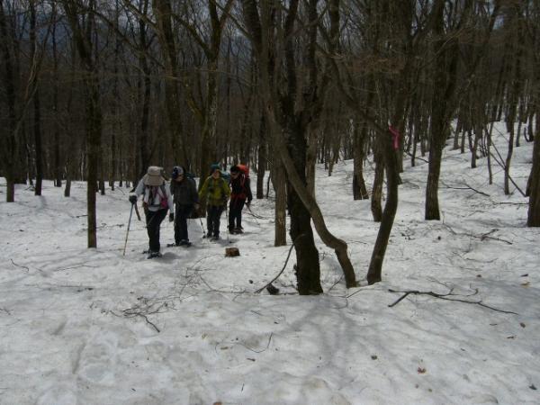 木立の中をゆっくり登って行きます。