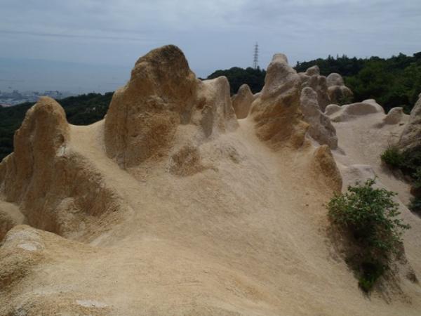 この造形美は説明不要ですね