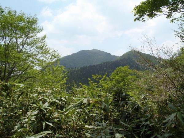 氷ノ山遠景（山頂小屋が「見えます）