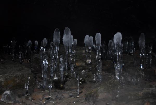 大幽の洞窟名物『氷筍』