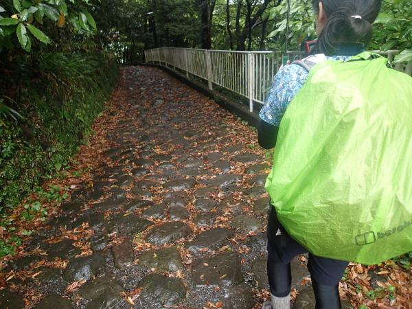 箱根旧街道といえば石畳。ここは猿橋石畳。２５５mの距離です。