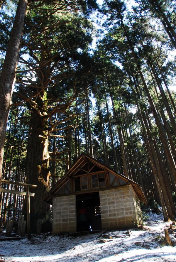 高見杉の横に避難小屋。