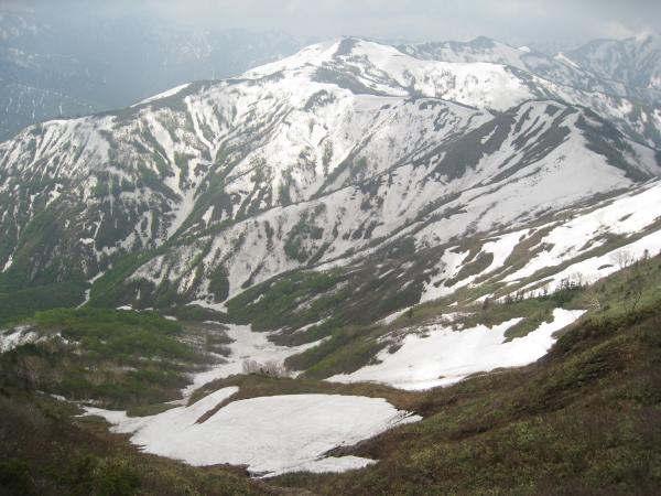 豊富な残雪のある越後の山々