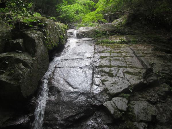 雷木沢は連瀑で始まり、段々と穏やかな渓相になっていきます