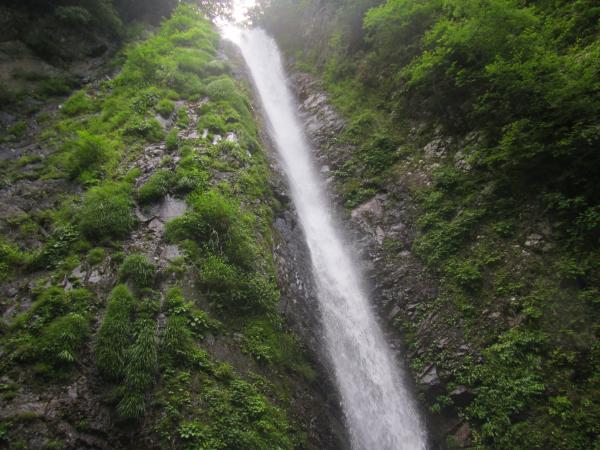 伊勢沢は大滝50mを抱く秀渓です
