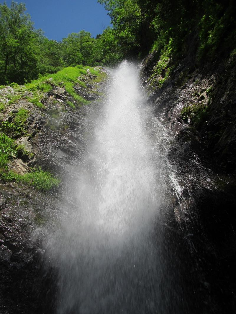 伊勢沢は大滝50mを抱く秀渓です
