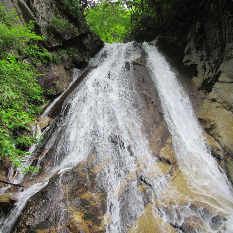井戸沢は美瀑とナメが続く開放的な渓です