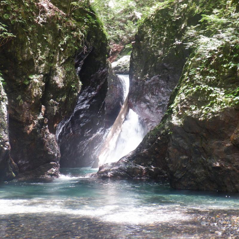 お茶ノ水ノ滝は小金沢本谷を代表する神秘的な美瀑です