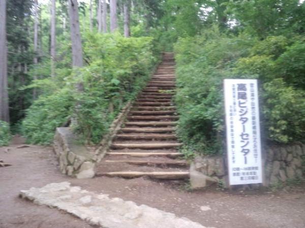 ５号路。稲荷山コースの時は最後の詰めがこの階段となる。