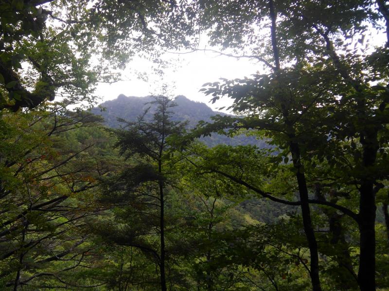 三笠山遥拝所の少し手前から見た三笠山(左)と諏訪山(右)