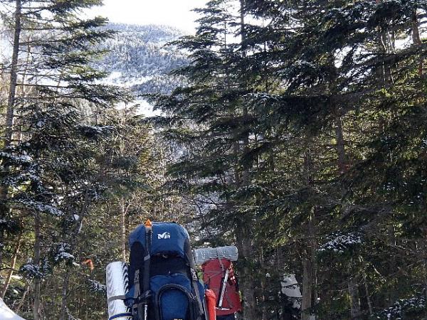 樹林帯の間から見える雪山にテンションが上がります！