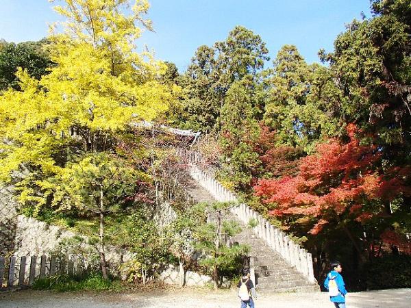 松尾山に子供と登山