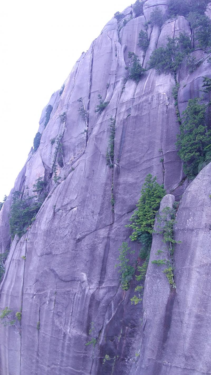 大面岩。中間部から上部。